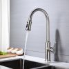 Kitchen Faucet with Pull Out Spraye--DK