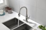 Single Handle High Arc Pull Out Kitchen Faucet,Single Level Stainless Steel Kitchen Sink Faucets with Pull Down Sprayer