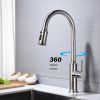 Kitchen Faucet with Pull Out Spraye--DK