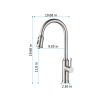 Kitchen Faucet with Pull Out Spraye--DK