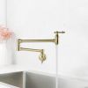 Wall-Mounted Potfiller modern 360-degree rotating kitchen faucet in Brushen Gold