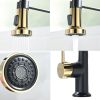 The new model is beautiful and durable Single Handle Pull-Down Sprayer Kitchen Faucet in Black+Gold