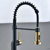 The new model is beautiful and durable Single Handle Pull-Down Sprayer Kitchen Faucet in Black+Gold