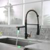 New Single Handle LED kitchen faucet with pull-down kitchen faucet in Black