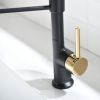 The new model is beautiful and durable Single Handle Pull-Down Sprayer Kitchen Faucet in Black+Gold