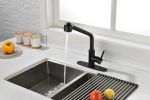 Kitchen Faucets with Pull Down Sprayer, Single Handle Kitchen Sink Faucet with Pull Out Sprayer