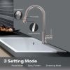 Sink Faucet Pull Down Sprayer Brushed Nickel Kitchen Faucet Single Level Stainless Steel Kitchen Sink Faucets for RV, Dorm, Kitchen